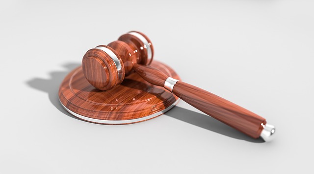 Legal compliance: essential steps for new entrepreneurs